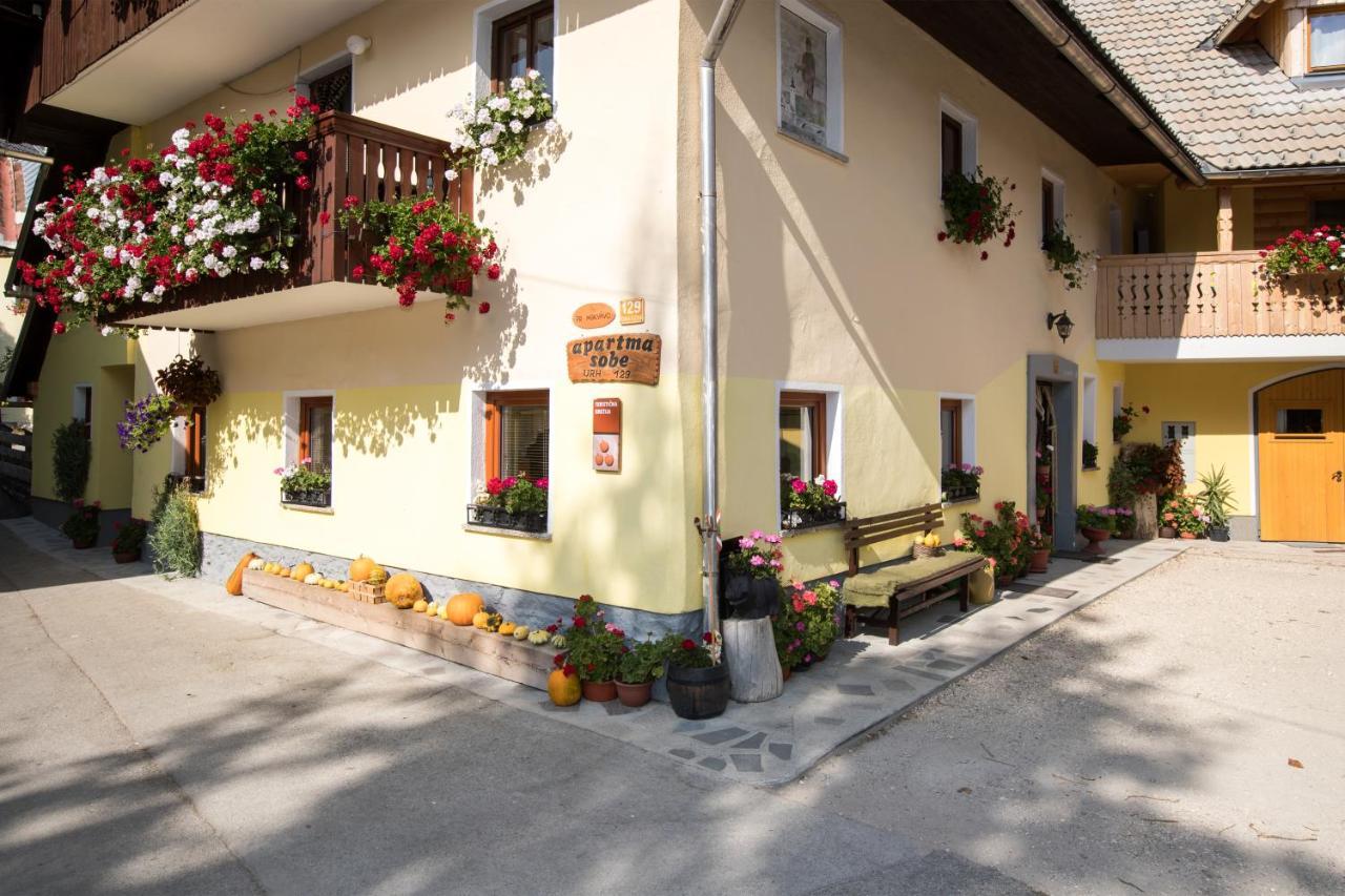 Farmhouse Pri Miklavu Bohinj Exterior photo